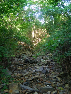 Axpe errekak (Busturia) erakusten duenez, noizean behin, udan, lehortea edo sikatea izaten da